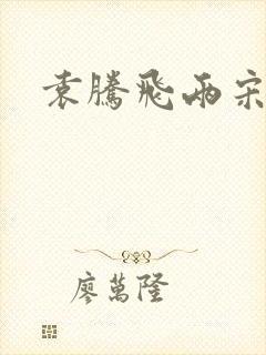 袁腾飞两宋风云