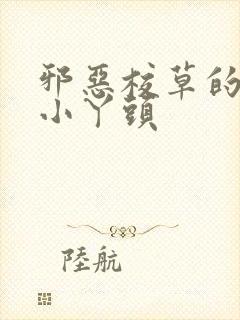 邪恶校草的拽拽小丫头