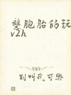 双胞胎的玩具1v2h