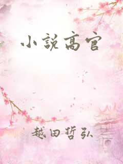小说高官