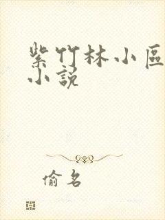 紫竹林小区快递小说