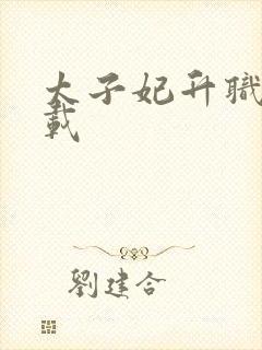 太子妃升职记下载