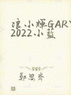 浪小辉GARY2022小蓝