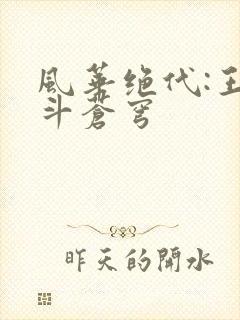 风华绝代:王妃斗苍穹