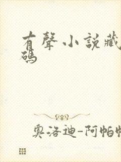 有声小说藏地密码