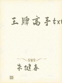 王牌高手txt