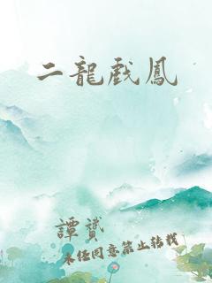 二龙戏凤
