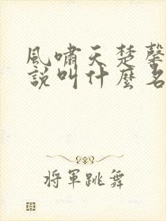 风啸天楚馨月小说叫什么名字