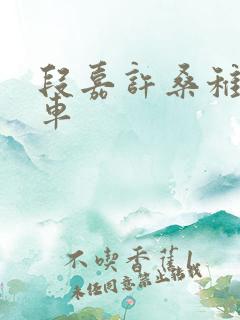 段嘉许桑稚浴室车