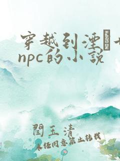 穿越到湮婸世界npc的小说