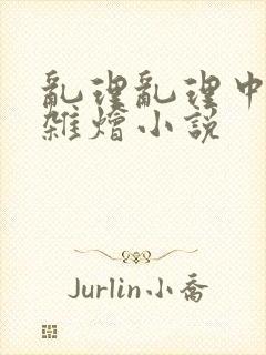 乱理乱理中文大杂烩小说