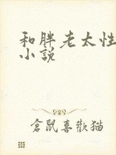 和胖老太性经历小说