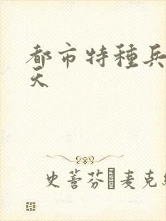 都市特种兵 任天