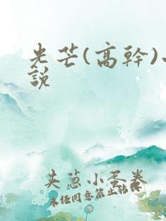 光芒(高干)小说