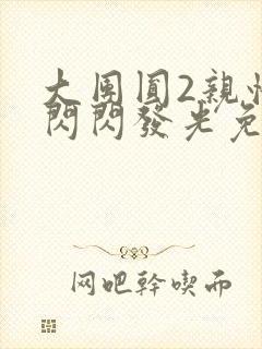 大团圆2亲情会闪闪发光免费