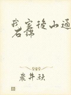 我家后山通仙界石锦