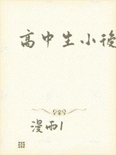 高中生小后妈