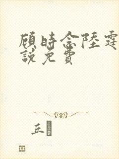 顾时念陆霆骁小说免费