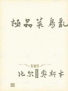 极品菜鸟乱江湖