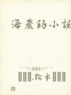 海岩的小说