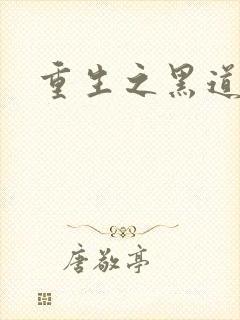 重生之黑道传奇