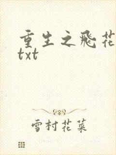 重生之飞花落照txt