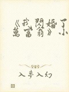 《我闪婚了个亿万富翁》小说