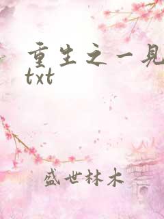 重生之一见倾心txt