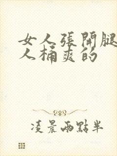 女人张开腿让男人桶爽的