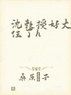 沈教授好大含不住了h