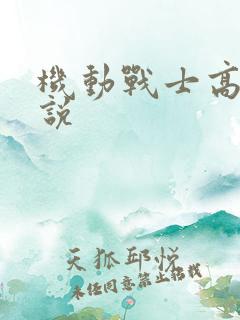 机动战士高达小说