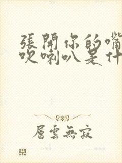 张开你的嘴给我吹喇叭是什么歌