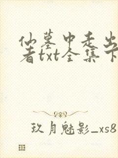 仙墓中走出的强者txt全集下载