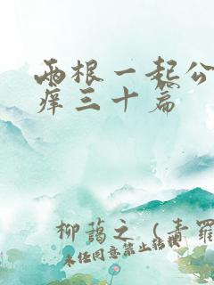 两根一起公憩止痒三十篇