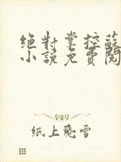 绝对掌控苏绵绵小说免费阅读全文