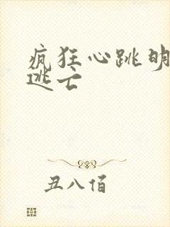 疯狂心跳明星大逃亡