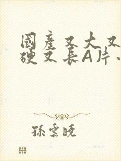 国产又大又粗又硬又长A片小说