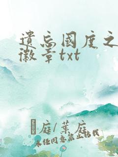 遗忘国度之神秘徽章txt