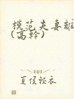 模范夫妻离婚了(高干)