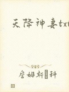 天降神妻txt
