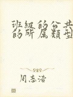 班级的公共小0的所属类型