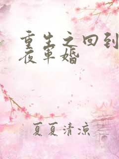 重生之回到新婚夜军婚