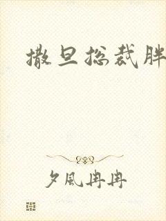 撒旦总裁胖前妻