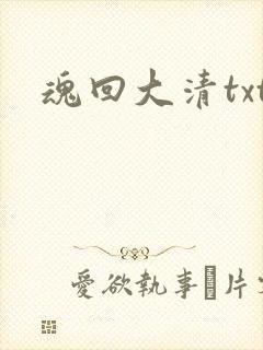 魂回大清txt