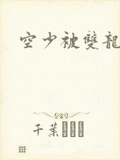 空少被双龙腐文