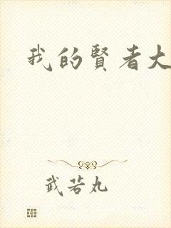 我的贤者大人