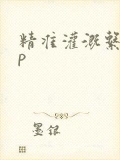 精准灌溉系统hp