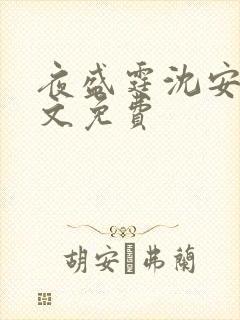 夜盛霆沈安然全文免费
