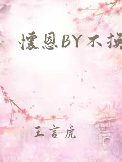 怀恩BY不换