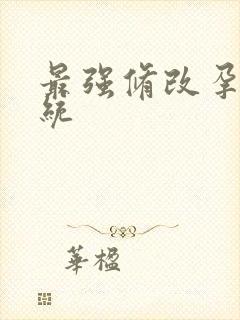 最强修改孕妇系统